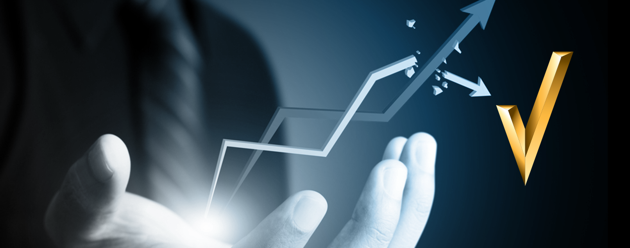 Investment advisory / Corporate finance & private equity consulting